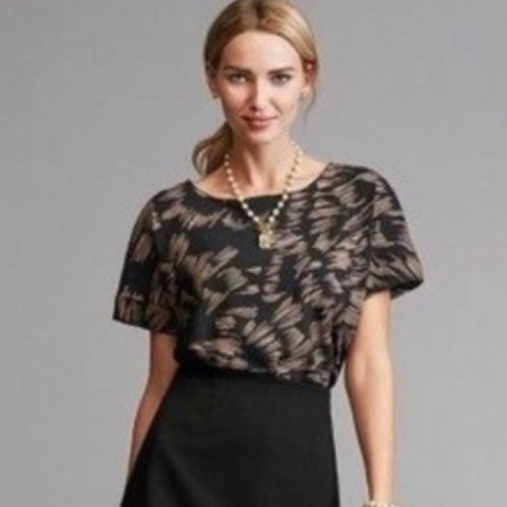 CABI Style 3433 Tate Short Sleeve Dolman Pattern Top Small